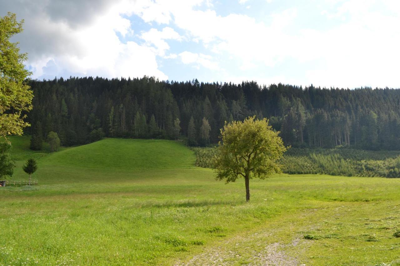Ferienwohnung Ertlerhof Ranten Esterno foto